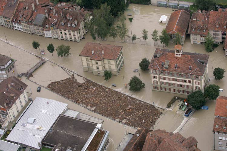 Im Tych, dem alten Mühlekanal, sammelt sich Schwemmholz.
