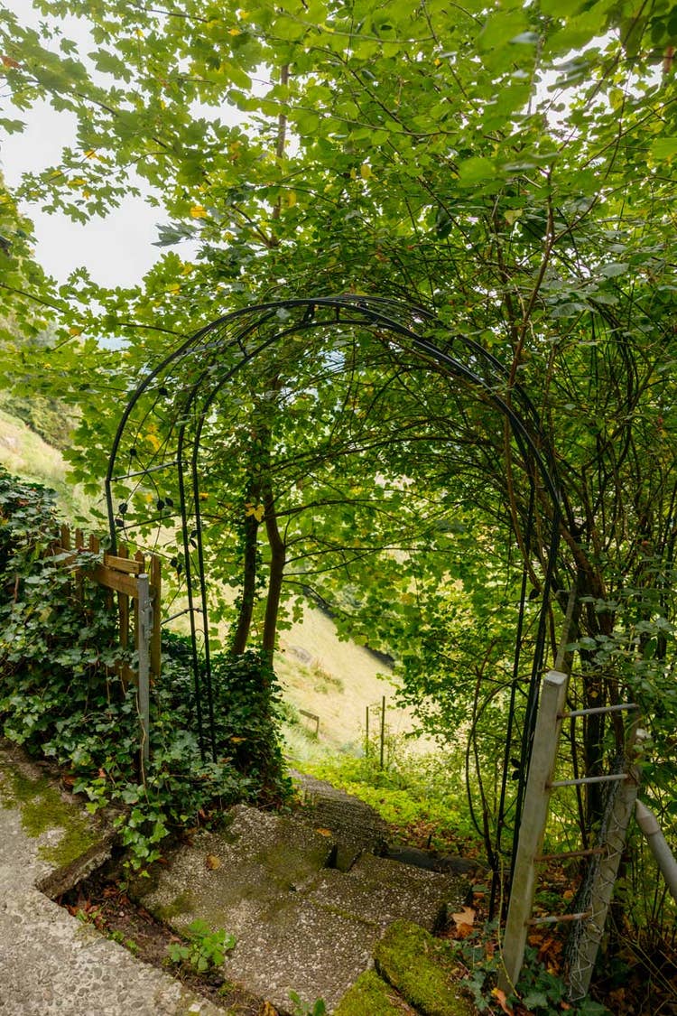 Eine Steintreppe mit Pflanzenbogen und dichter Begrünung führt den Hang hinunter.