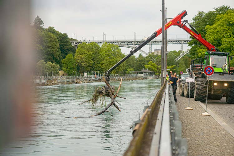 Ein Greifkran fischt Schwemmholz aus der Aare.