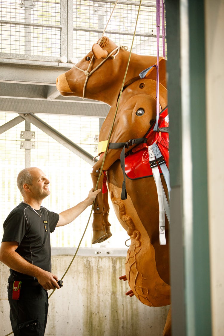 Ein Feuerwehrmann hebt eine lebensgrosse Plastikkuh an. Die Kuh trägt ein Rettungsnetz.