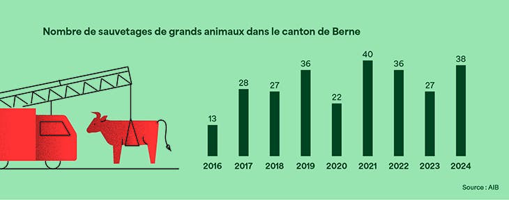 Évaluation du nombre de sauvetages de grands animaux entre 2016 et 2024.