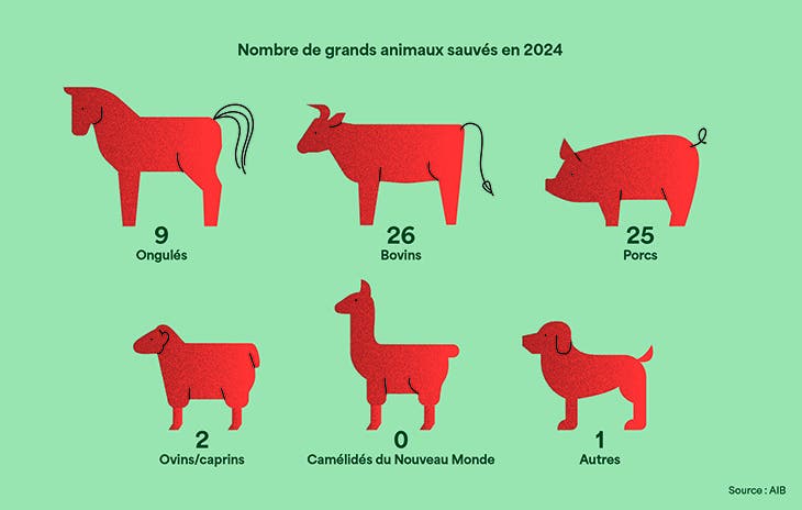 Évaluation du nombre d’animaux sauvés en 2024.