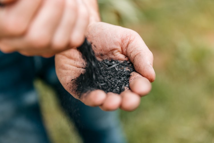 Une personne tient du charbon végétal dans ses mains.